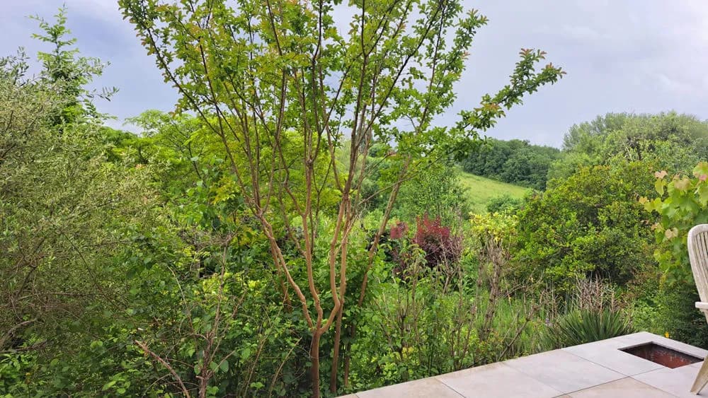 ensemble immobilier dont deux maisons de 285m2 habitable au total en parfait état sur plus de 3ha de prairies - Photo 1