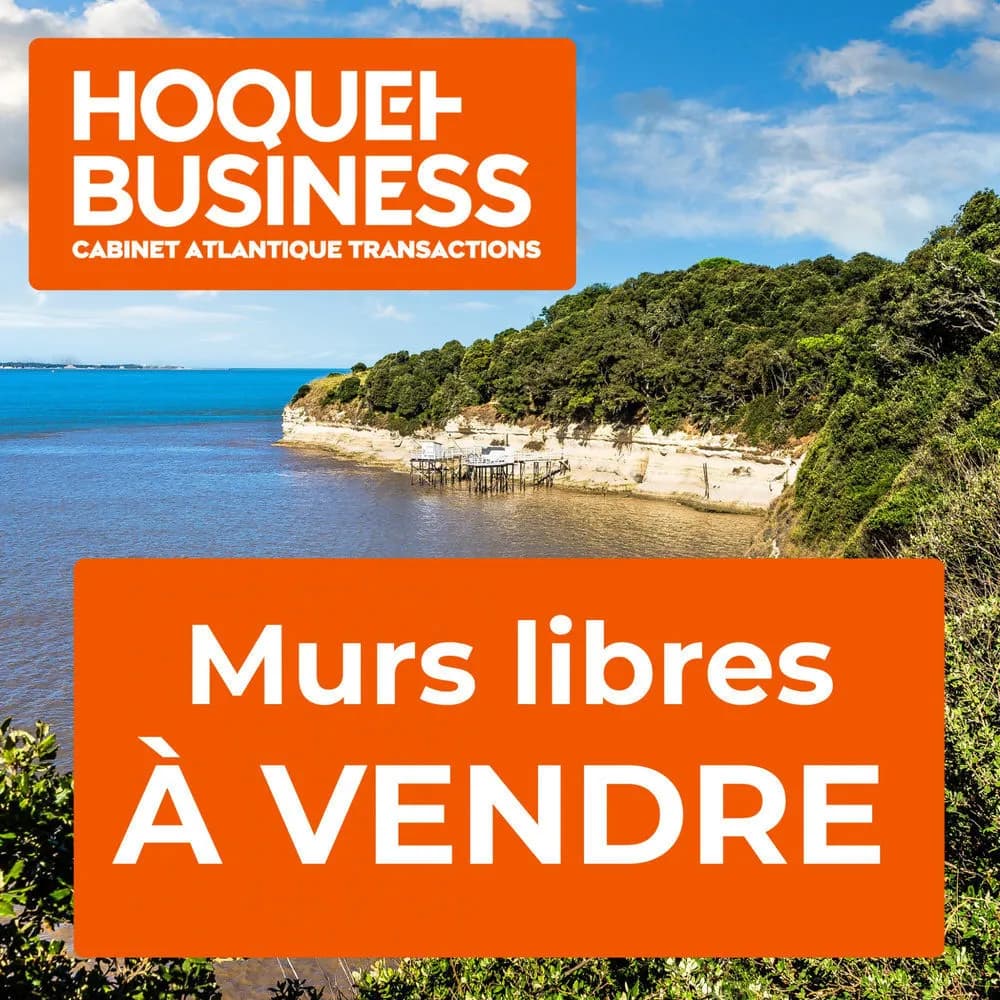 Vente d'ensemble immobilier mixte, secteur de Saint-Jean-d'Angé - Photo 1
