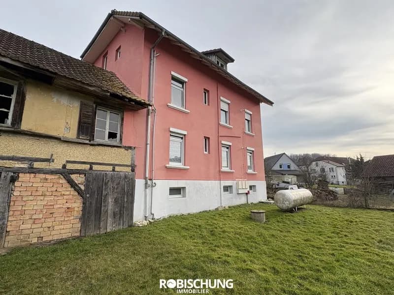 PFETTERHOUSE : Immeuble de rapport proche SUISSE - Photo 1