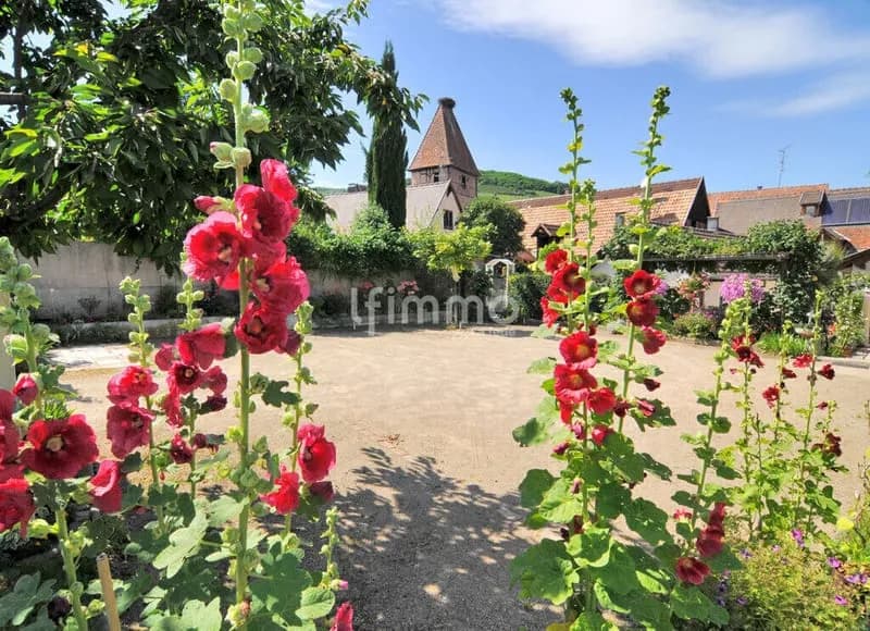 Propriété de caractère - Exploitation touristique - Ammerschwihr - Photo 1