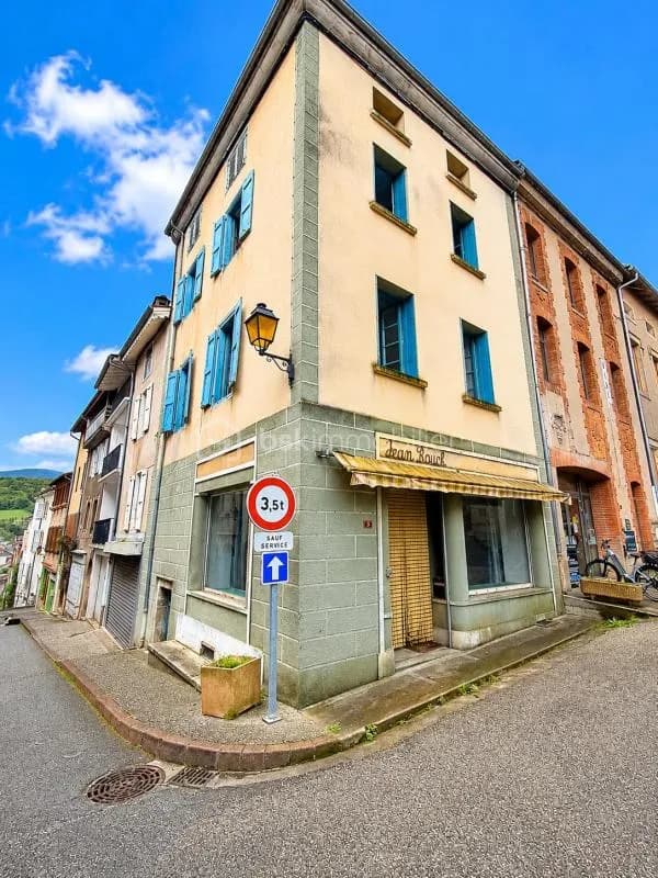 ENSEMBLE IMMOBILIER UNIQUE - 170M² habitables - 170m² d'Annexes - Photo 1