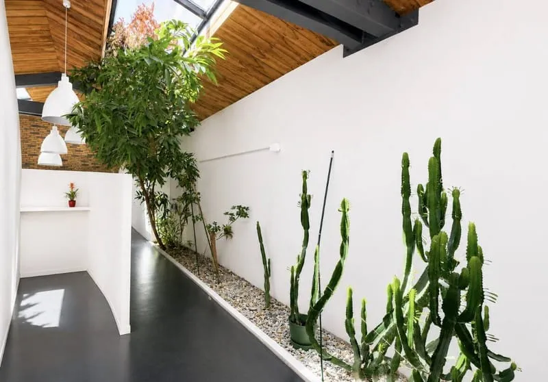 Immeuble 442 m² - Photo 1
