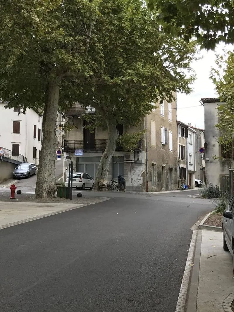 Immeuble de rapport 8 pièces 314 m² - Photo 1